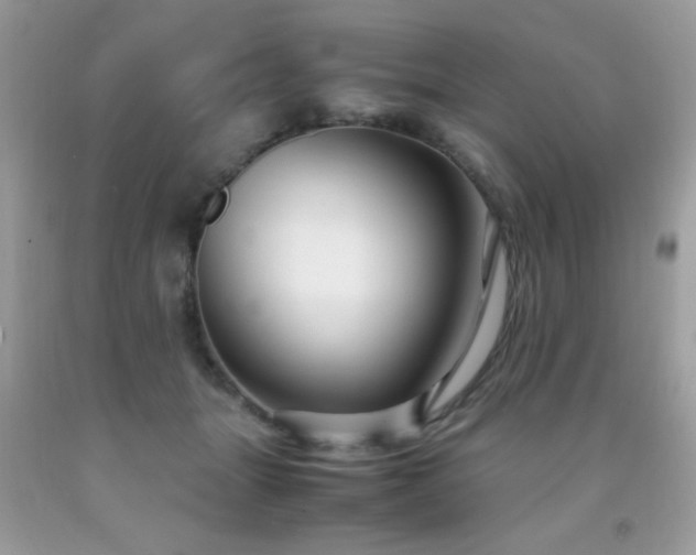 X0000091980463200709061359