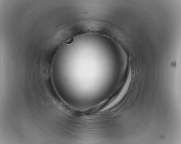 X0000091980464200709061359