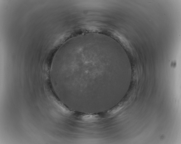 X0000091980465200709061359