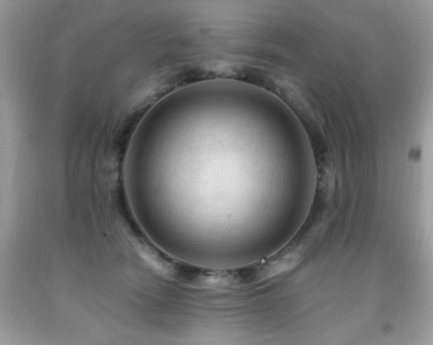 X0000091980466200709061359