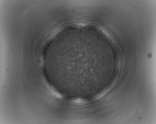 X0000091980467200709061359