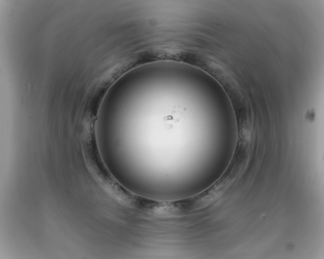 X0000091980468200709061359