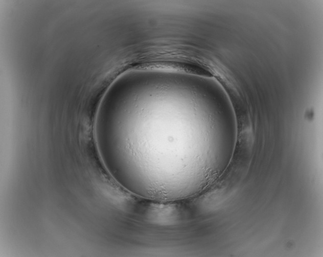 X0000091980469200709061359