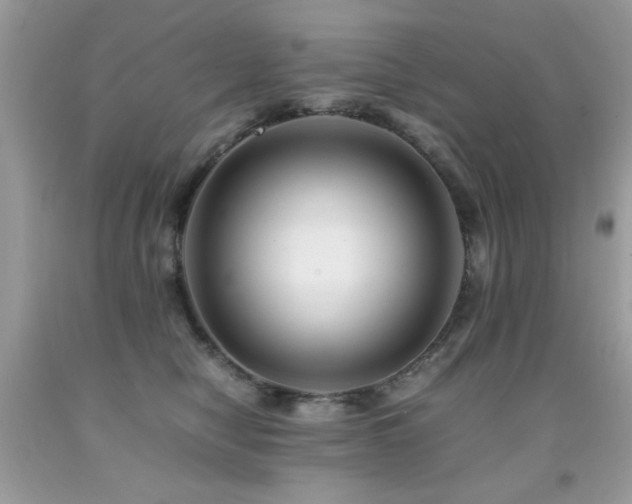 X0000091980470200709061359