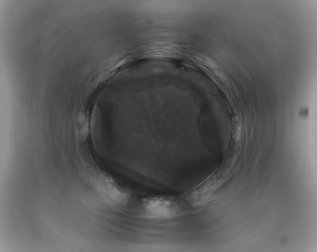 X0000091980471200709061359