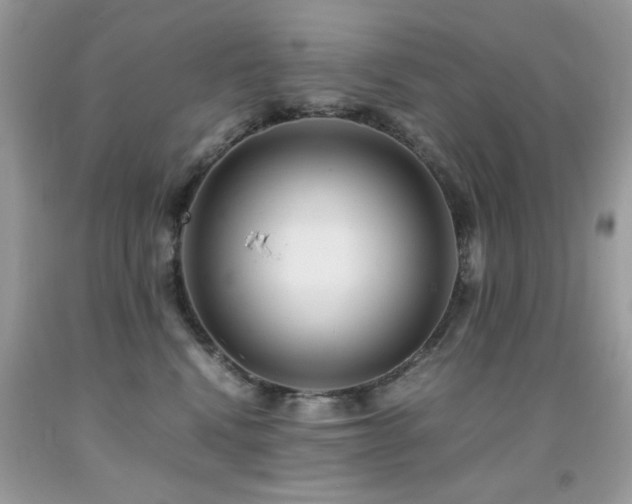 X0000091980472200709061359