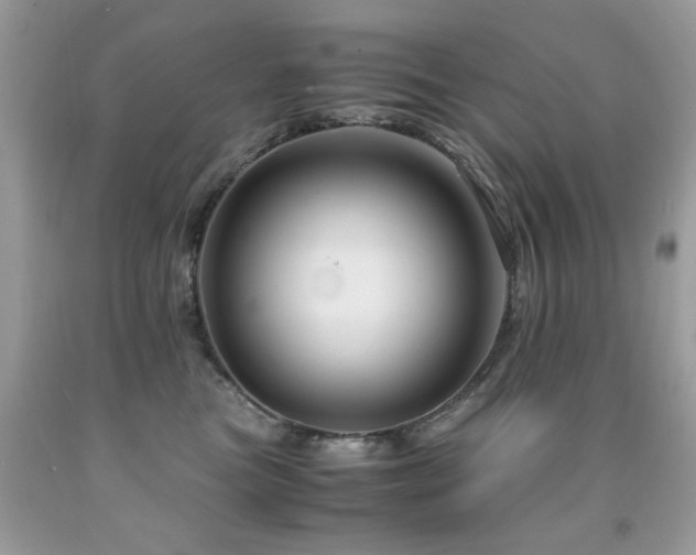 X0000091980473200709061359