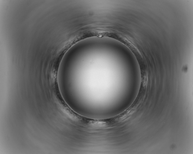 X0000091980476200709061359