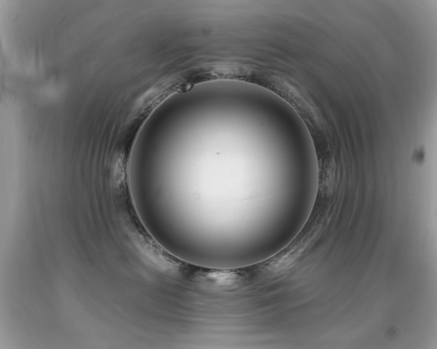 X0000091980478200709061359