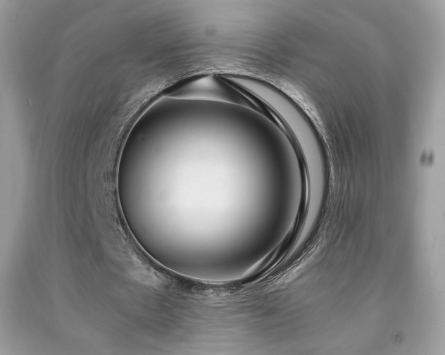 X0000091980481200709061358