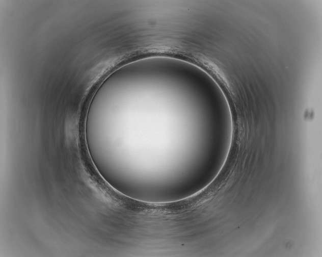 X0000091980482200709061358