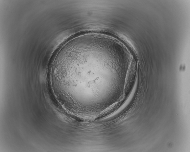X0000091980483200709061358