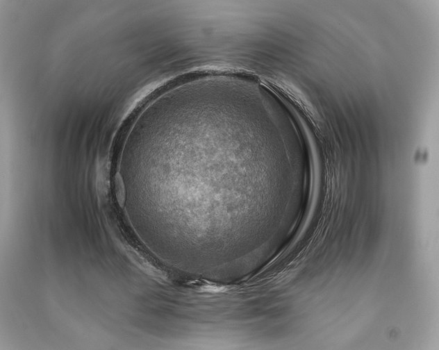 X0000091980484200709061358