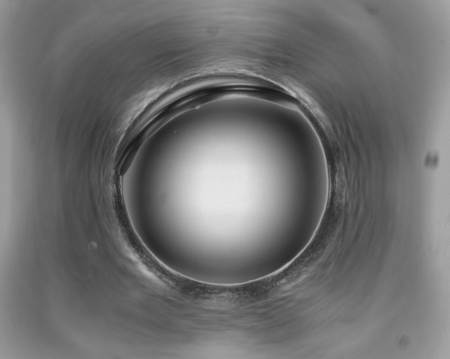 X0000091980485200709061358
