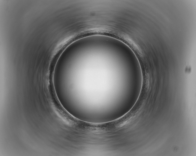 X0000091980486200709061358