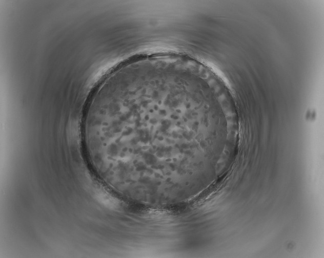 X0000091980487200709061358