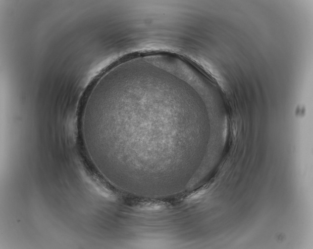 X0000091980488200709061358