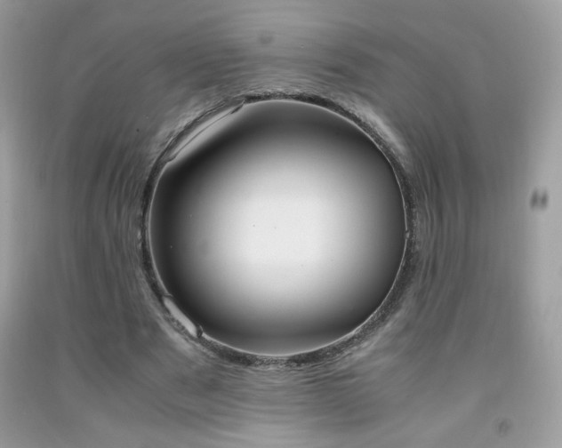 X0000091980489200709061358