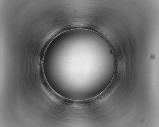 X0000091980490200709061358