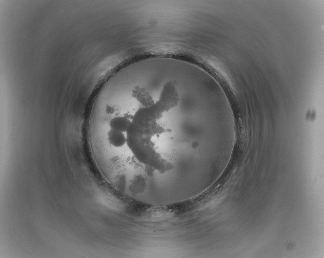 X0000091980491200709061358