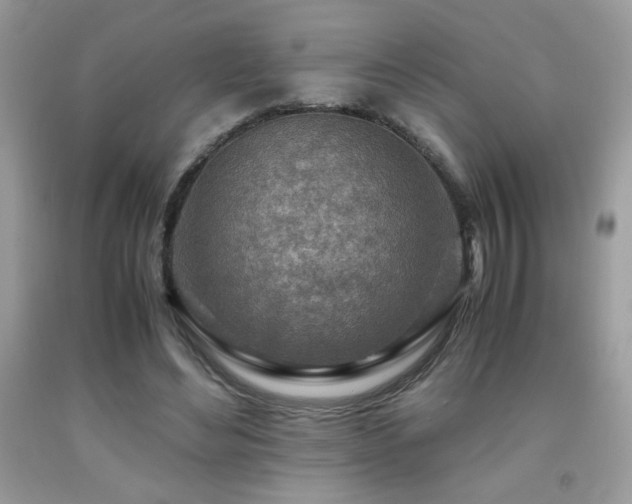 X0000091980492200709061358
