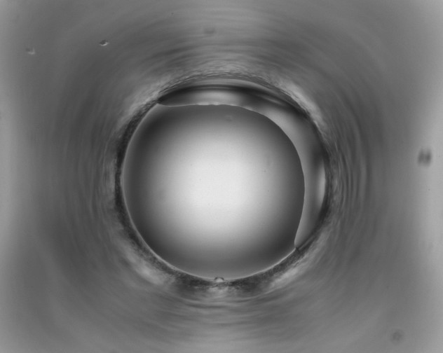 X0000091980493200709061358