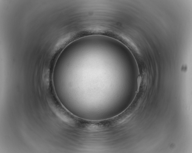 X0000091980494200709061358