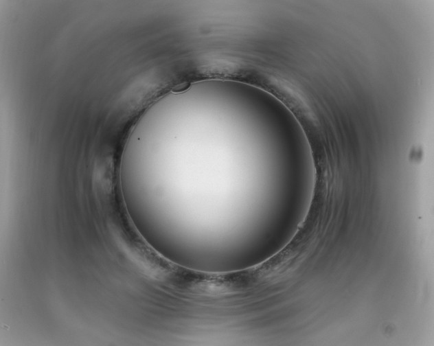 X0000091980498200709061358