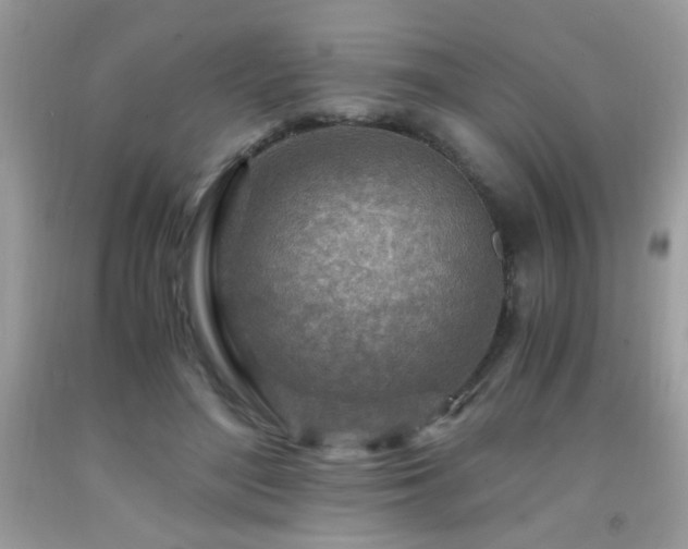 X0000091980500200709061358