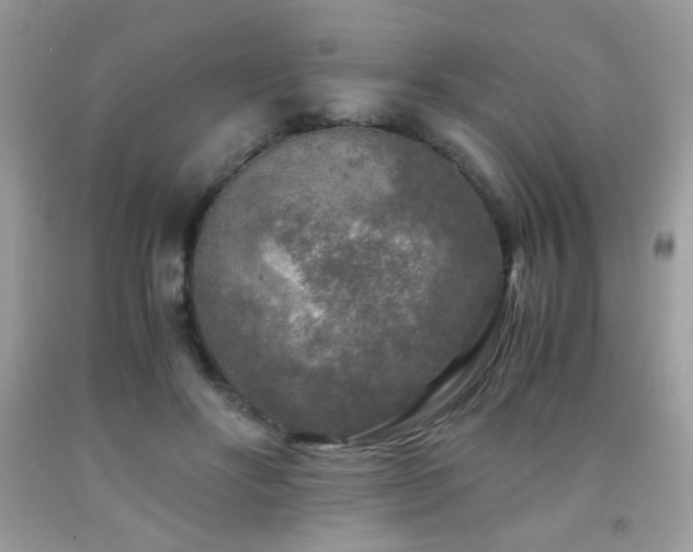 X0000091980502200709061358