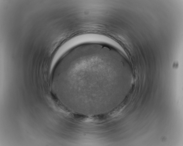 X0000091980504200709061358