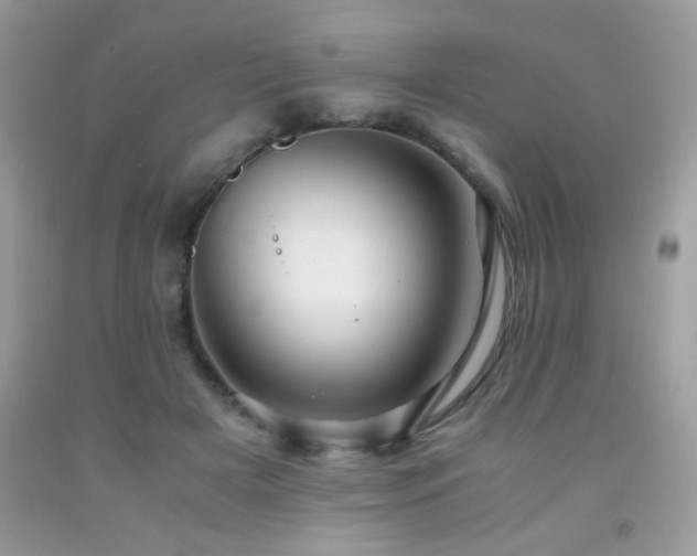 X0000091980505200709061358