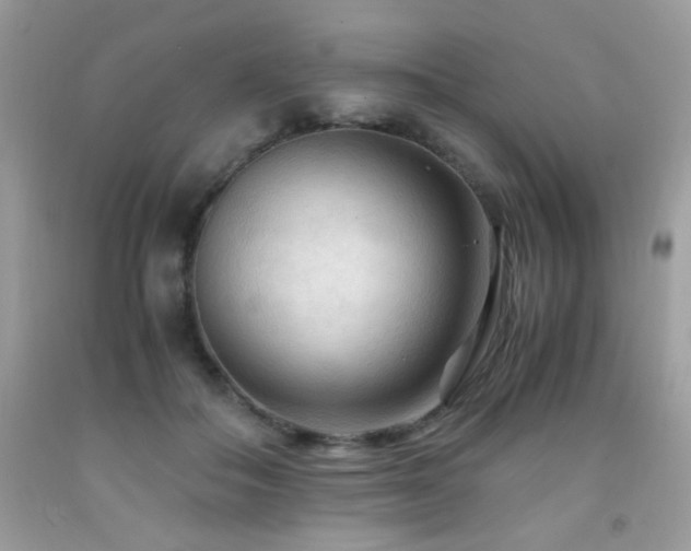 X0000091980506200709061358