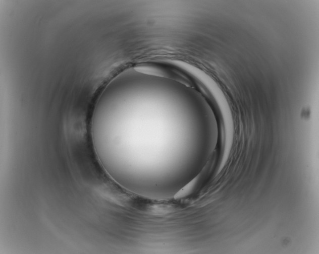 X0000091980508200709061358