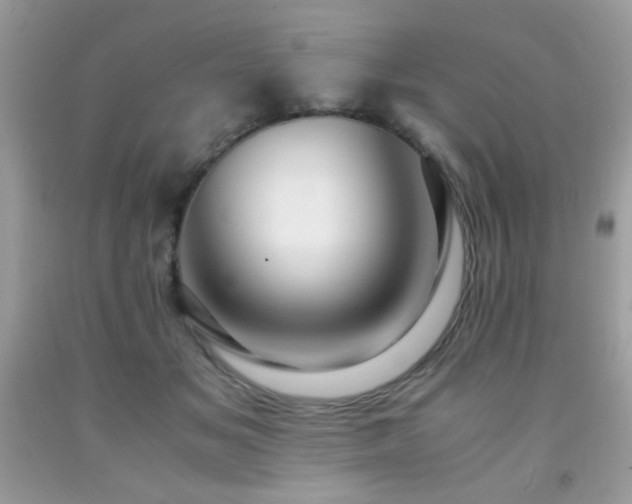 X0000091980509200709061358