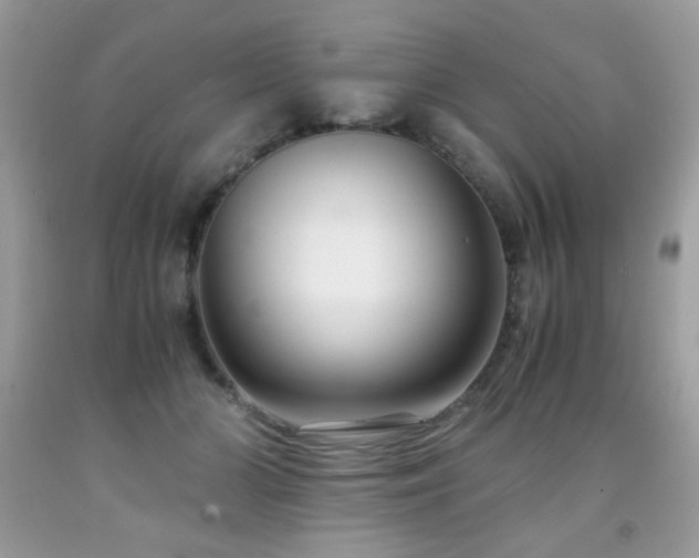X0000091980510200709061358