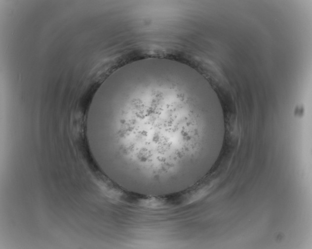X0000091980511200709061358