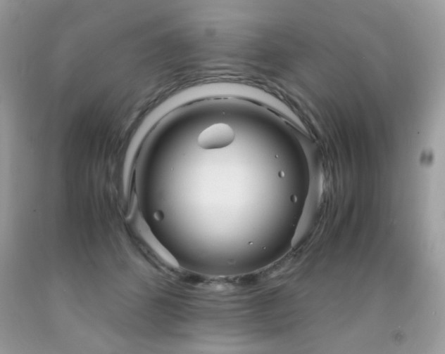 X0000091980512200709061358
