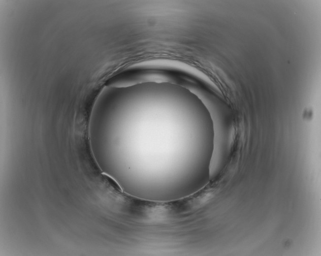 X0000091980513200709061358