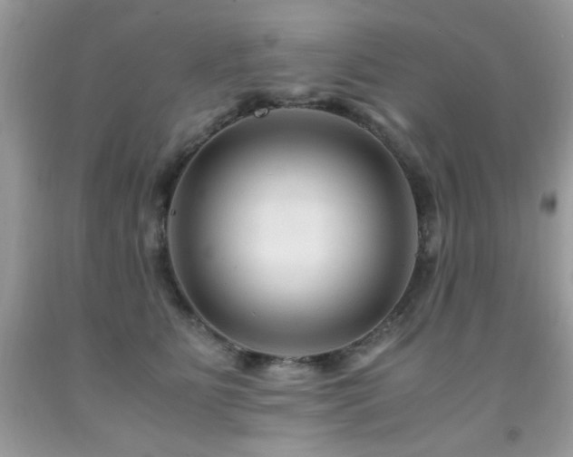 X0000091980515200709061357