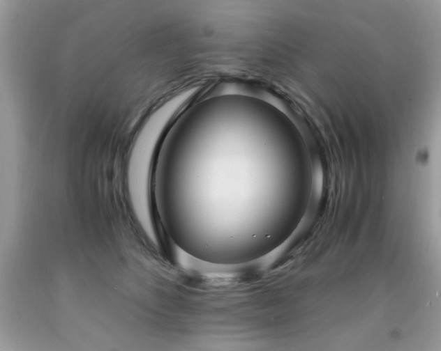 X0000091980516200709061357