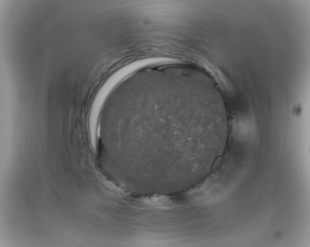 X0000091980517200709061357
