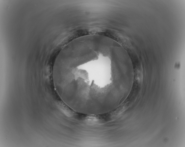X0000091980519200709061357