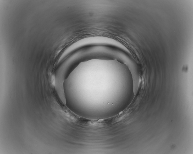 X0000091980520200709061357