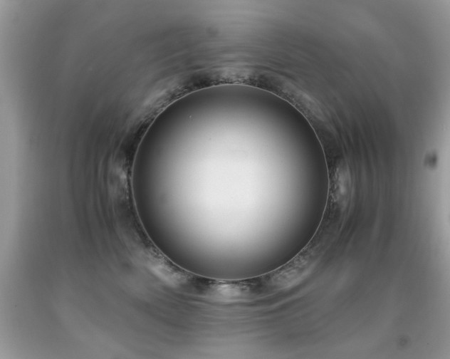 X0000091980522200709061357