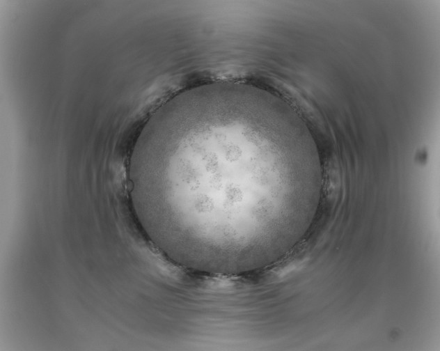 X0000091980523200709061357
