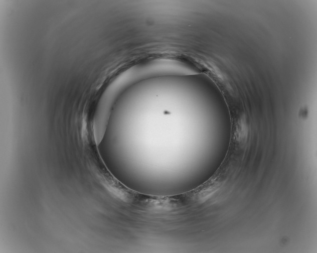 X0000091980524200709061357