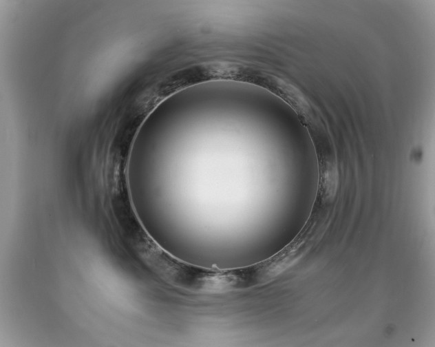 X0000091980525200709061357