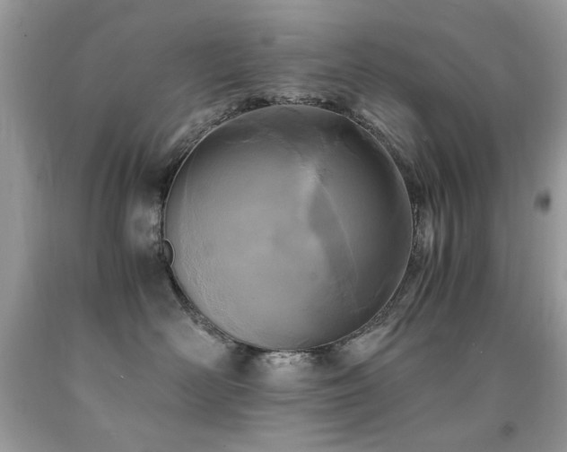 X0000091980526200709061357