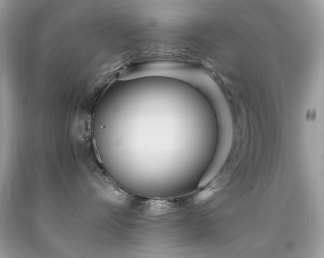 X0000091980528200709061357